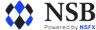 NS Broker logo
